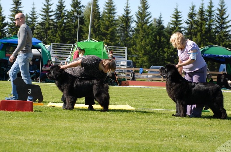 Фотография № 131678