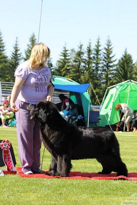 Фотография № 131680