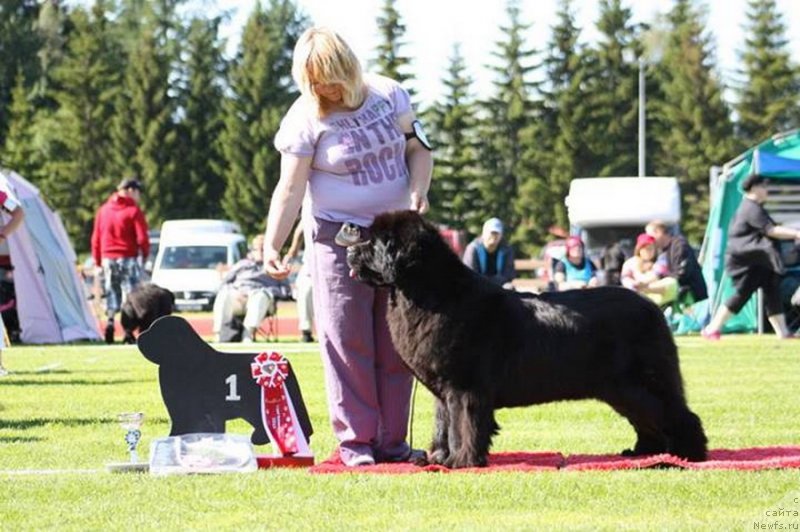 Фотография № 131681