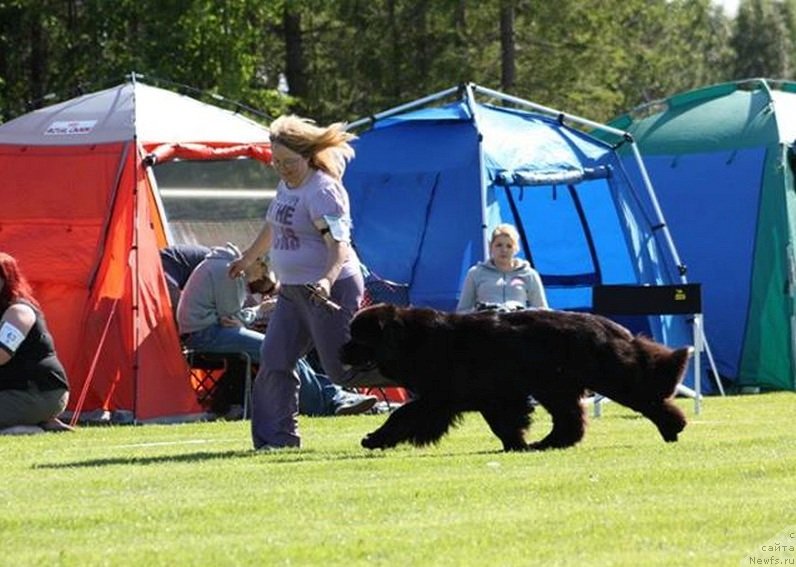 Фотография № 131682