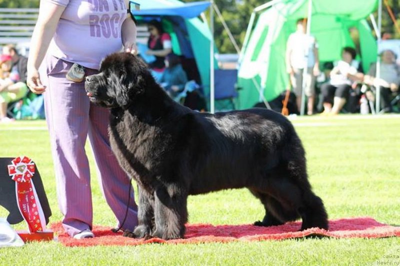 Фотография № 131683