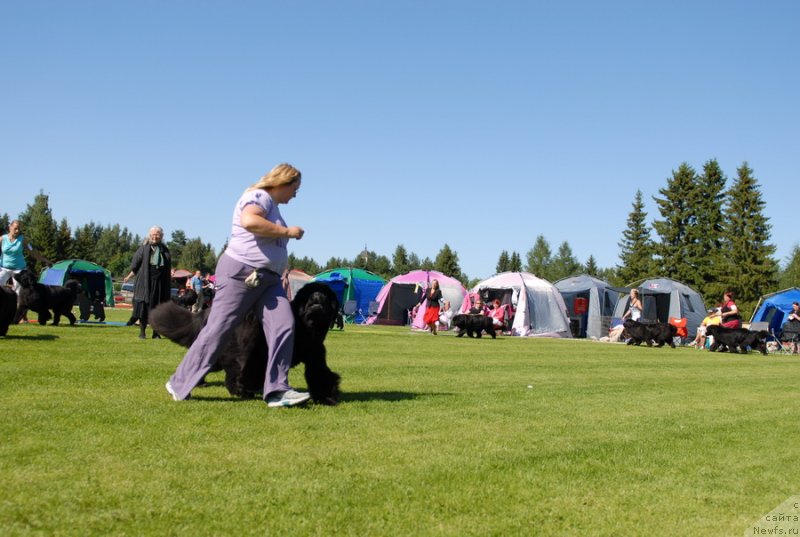 Фотография № 131685