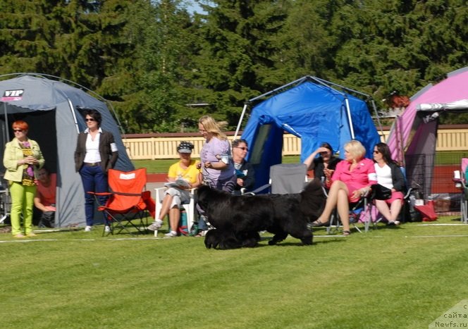 Фотография № 131686