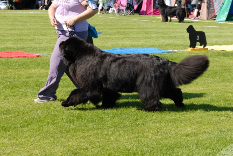 Фотография № 131688