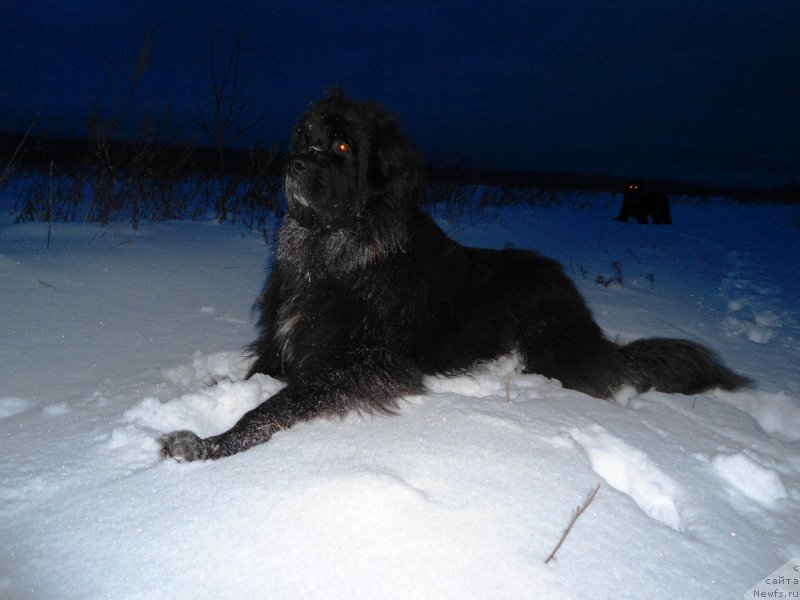 Фотография № 131701