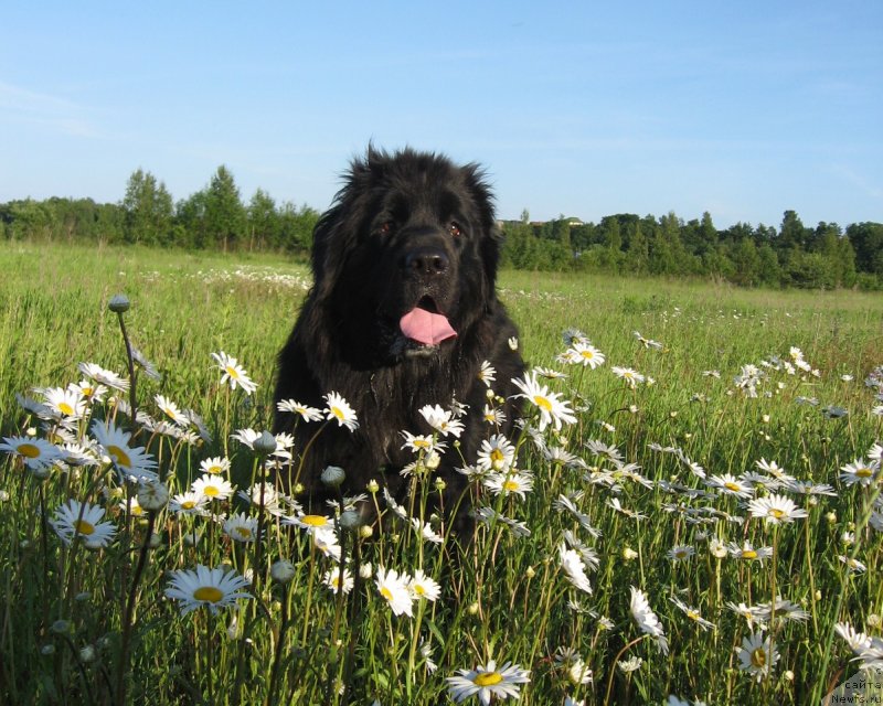 Фотография № 131702