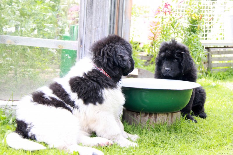 Фотография № 131754