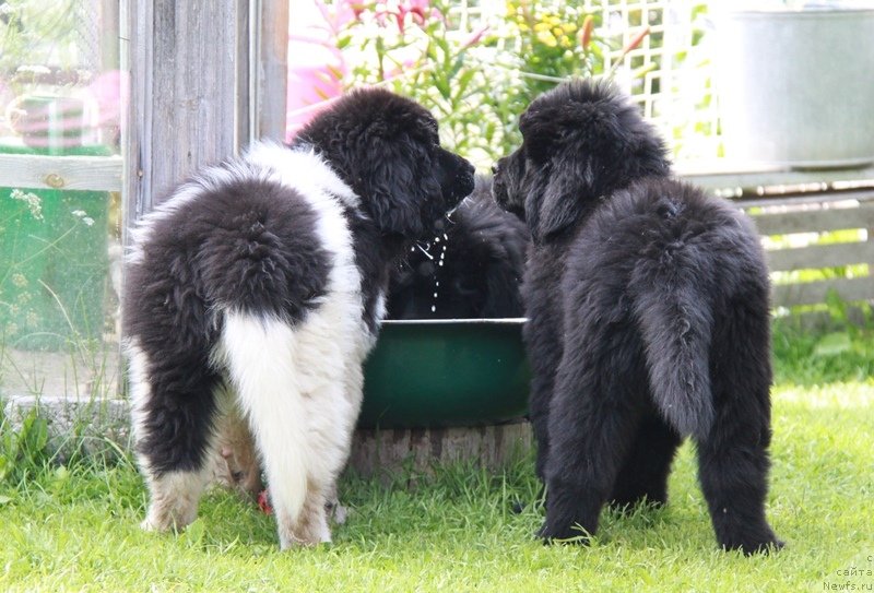 Фотография № 131758