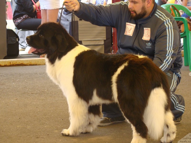 Фотография № 131780