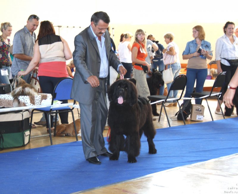 Фотография № 131789