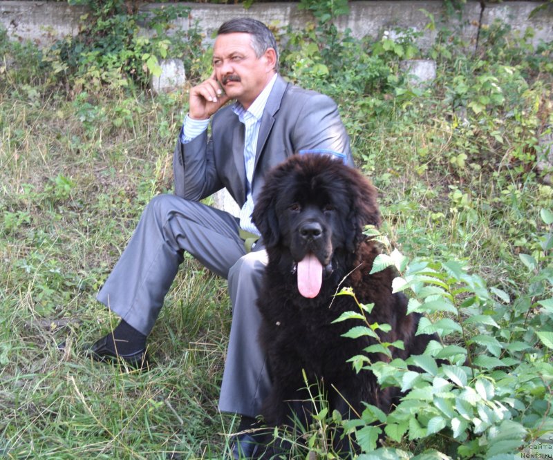 Фото: Sergey Seleznev (Сергей Селезнев), ньюфаундленд Dark Pride Valentino (Дак Прайд Валентино)