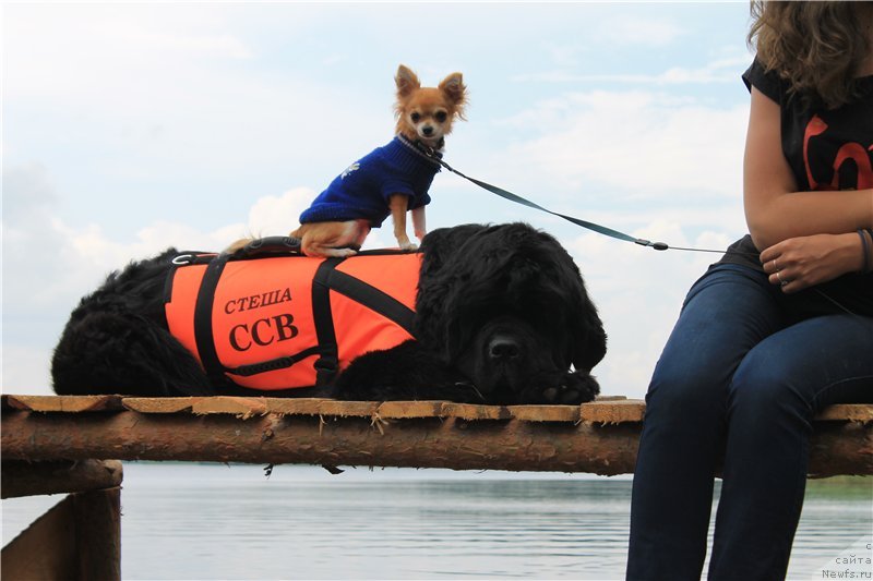 Фотография № 131813