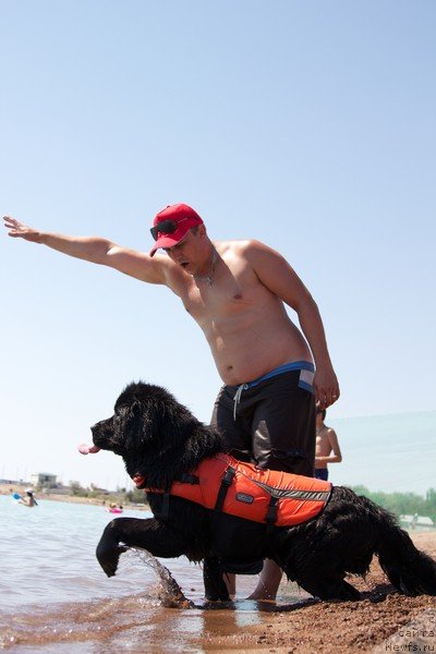 Фотография № 131819