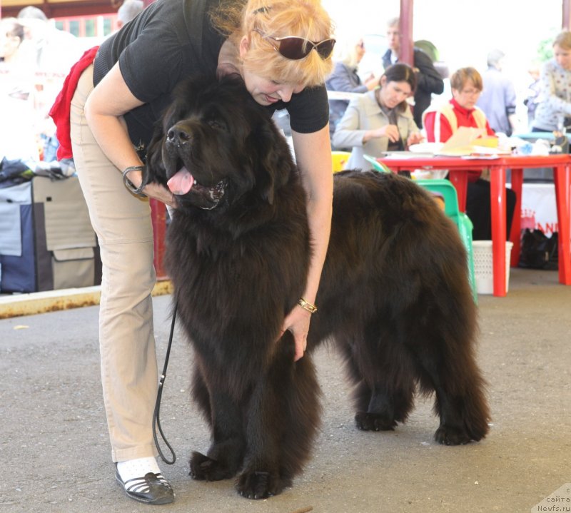 Фотография № 131827