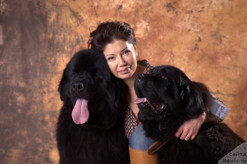 Фото: Saule Ibraeva (Сауле Ибраева), ньюфаундленд Tusa (Туса), ньюфаундленд Djoker (Джокер)
