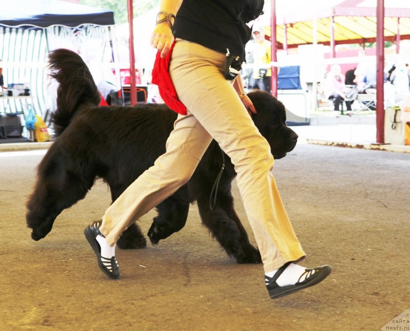 Фотография № 131831