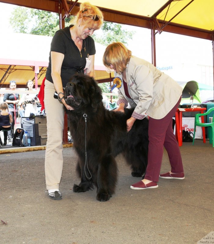 Фотография № 131832