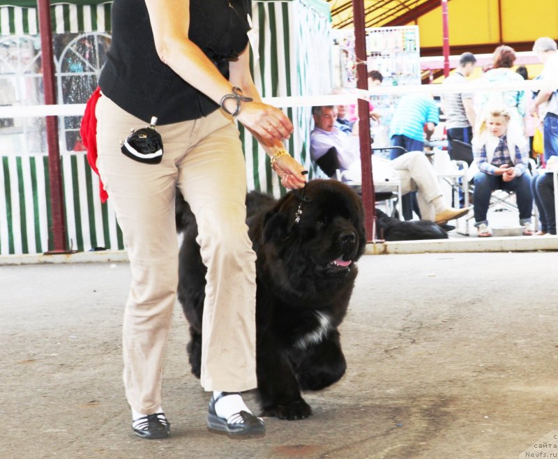 Фотография № 131833