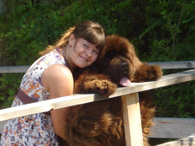 Фото: ньюфаундленд Argonavt iz Arkaima (Аргонавт из Аркаима)