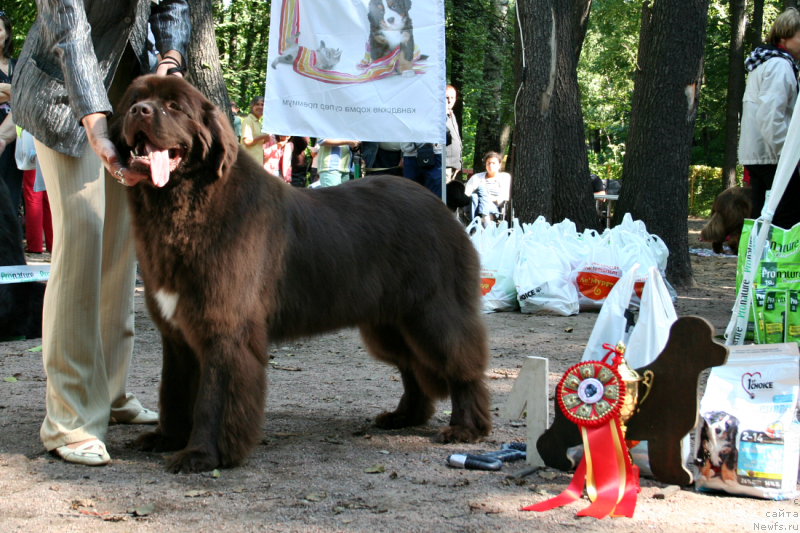 Фотография № 131893