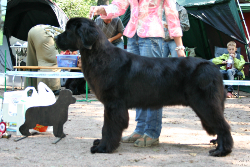 Фотография № 131895