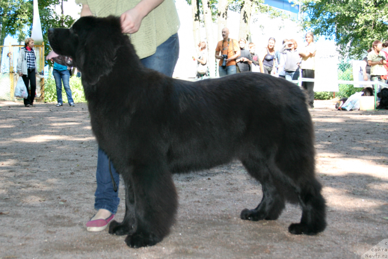 Фотография № 131901