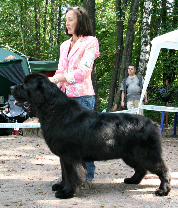 Фотография № 131913