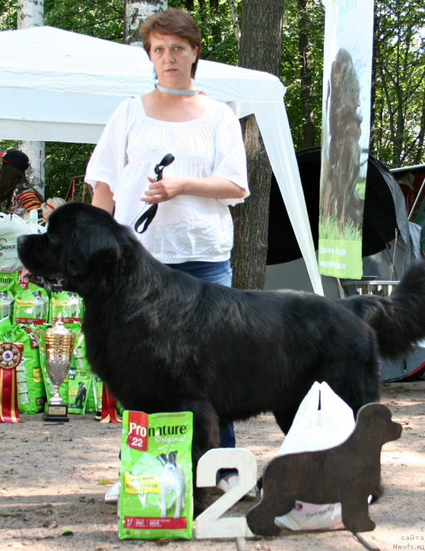 Фотография № 131917