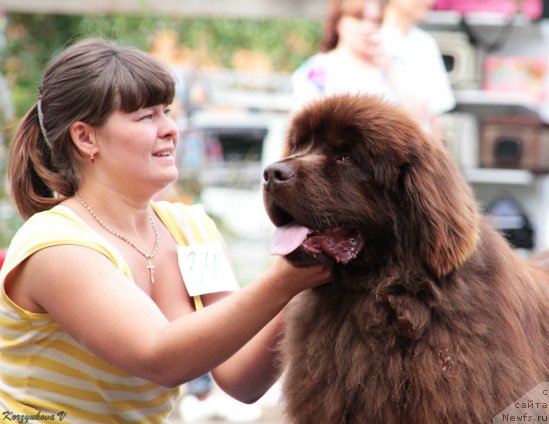 Фотография № 131926