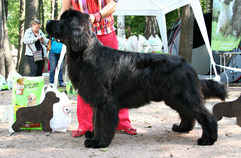 Фотография № 131933