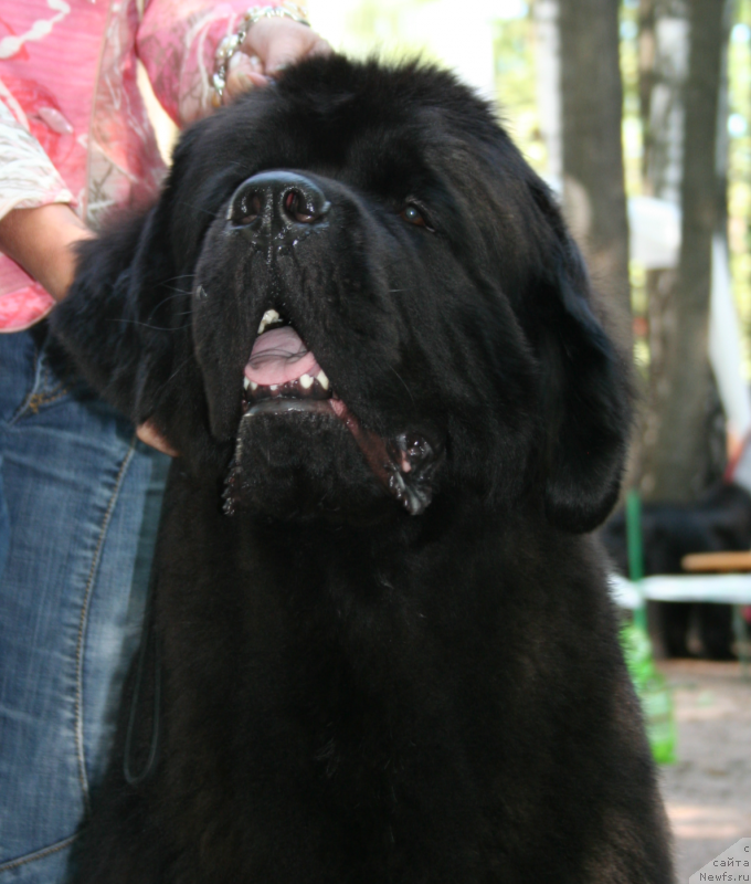 Фотография № 131937