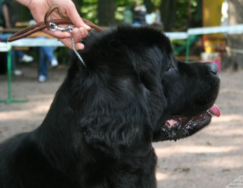 Фотография № 131941