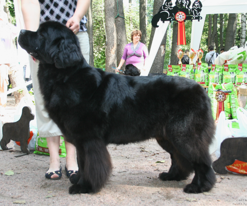 Фотография № 131942