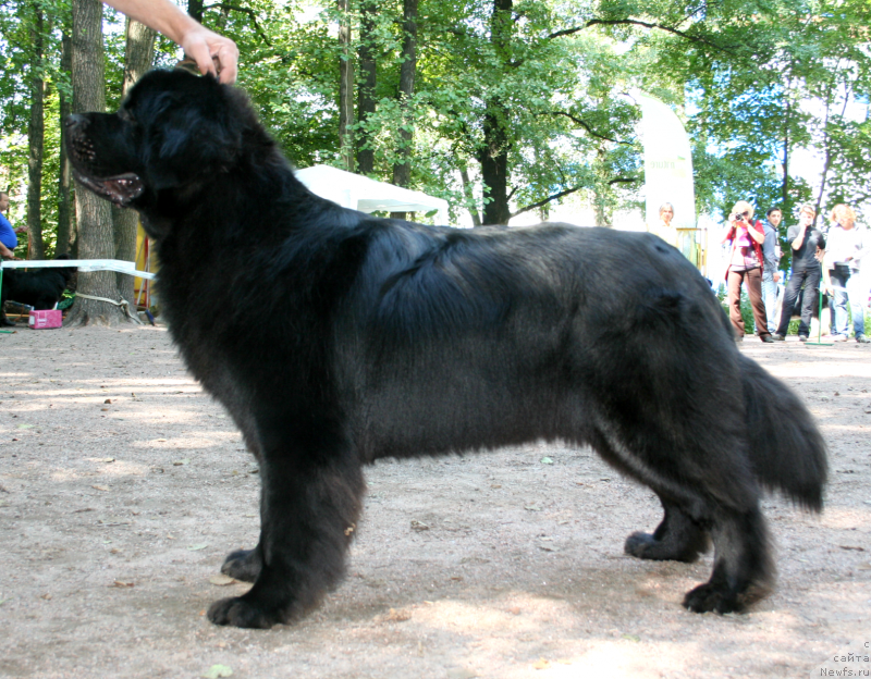 Фотография № 131950