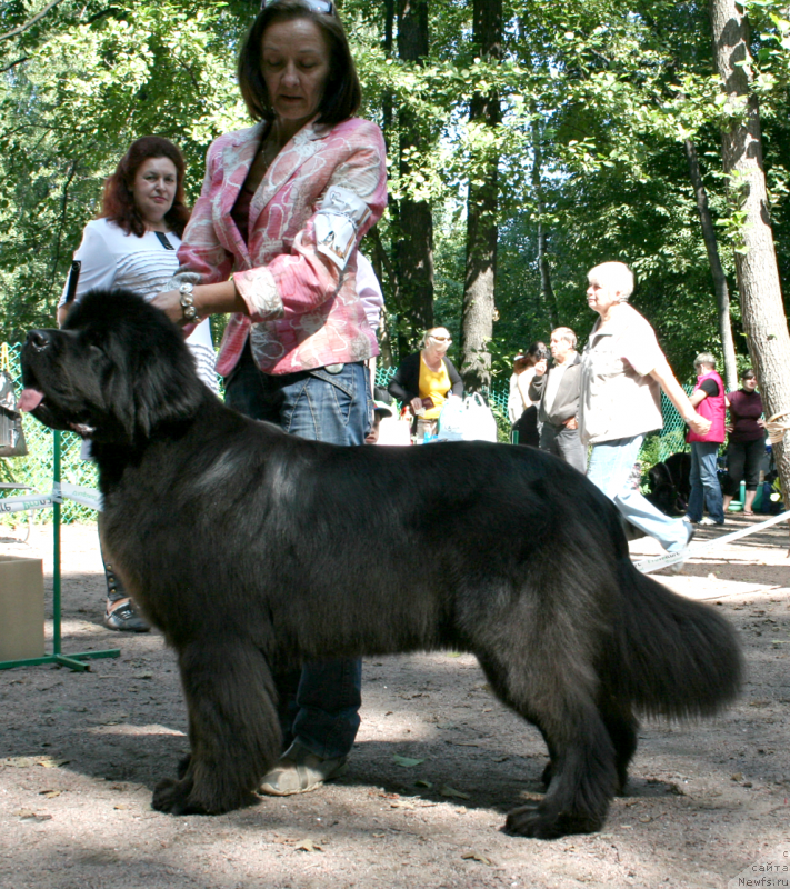 Фотография № 131952