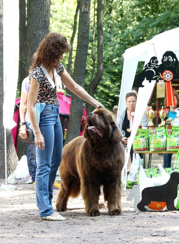 Фотография № 131954