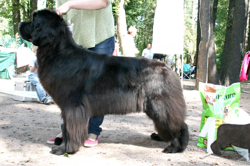 Фотография № 131958