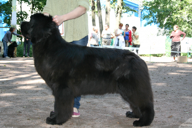 Фотография № 131959