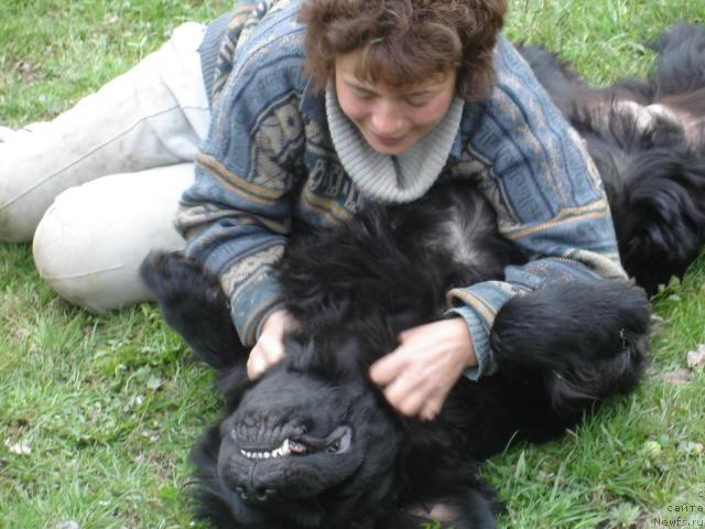 Фотография № 13196