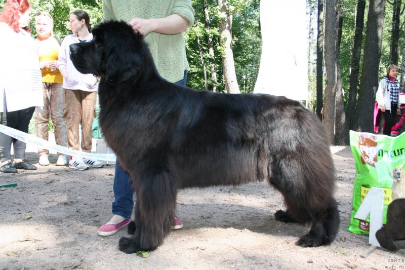 Фотография № 131960