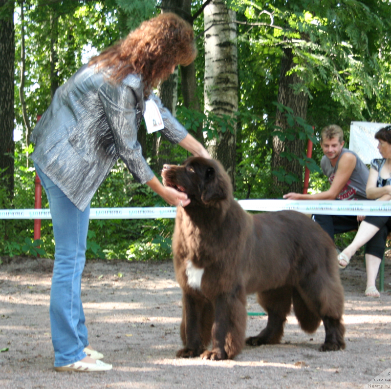 Фотография № 131963