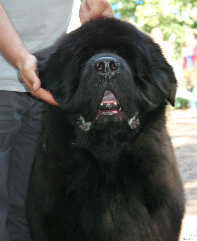 Фотография № 131967