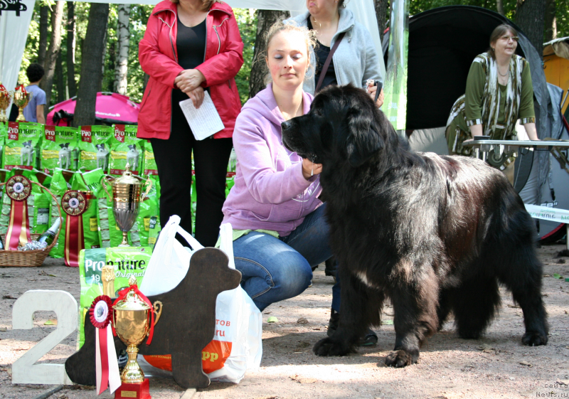 Фотография № 131968