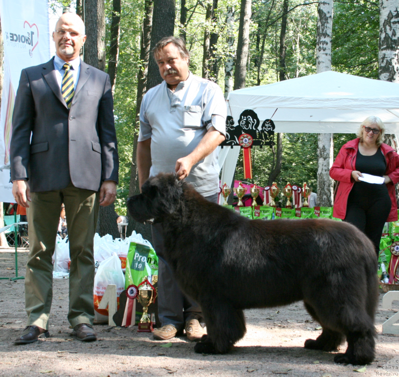 Фотография № 131969