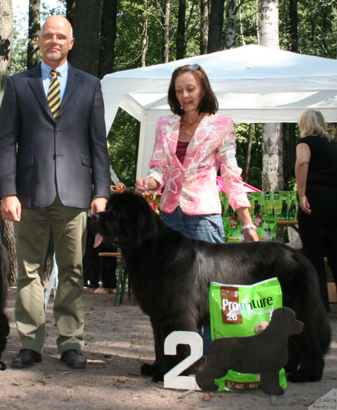 Фотография № 131971