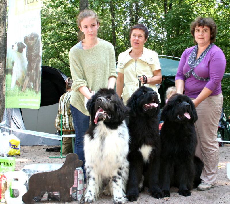 Фотография № 131973