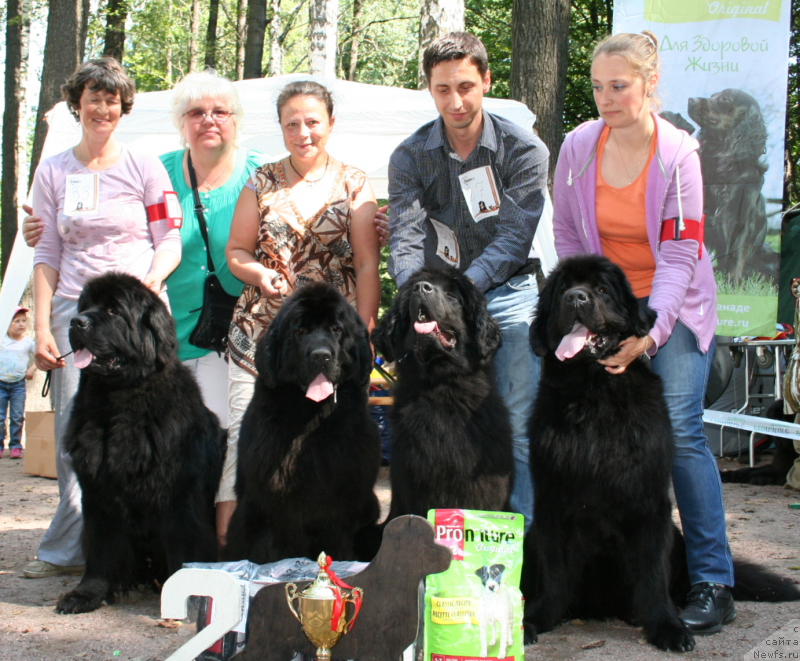 Фотография № 131974