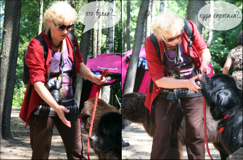 Фотография № 131977