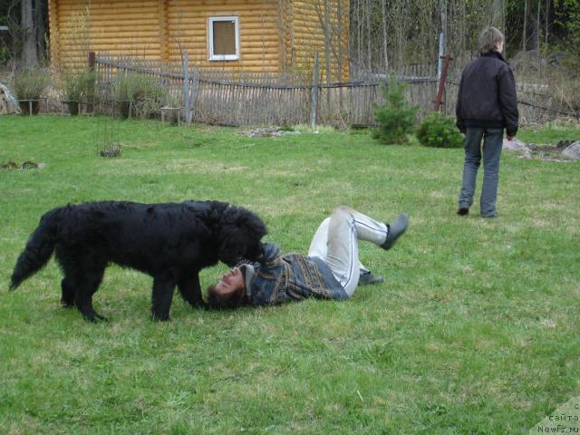 Фотография № 13199