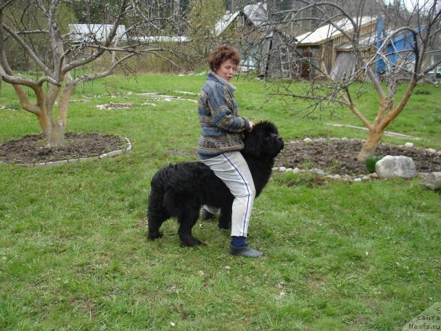 Фотография № 13200